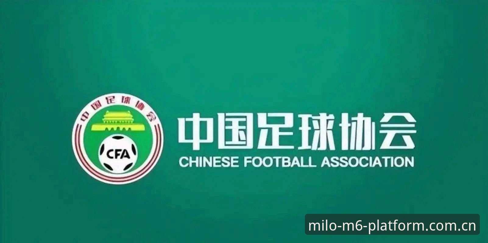 中国足协第三批禁足名单最新动态：17人终身禁赛，48人遭重罚